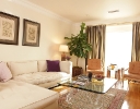 modern-stripe-by-suzan-fellman