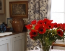 notting-hill-kitchen